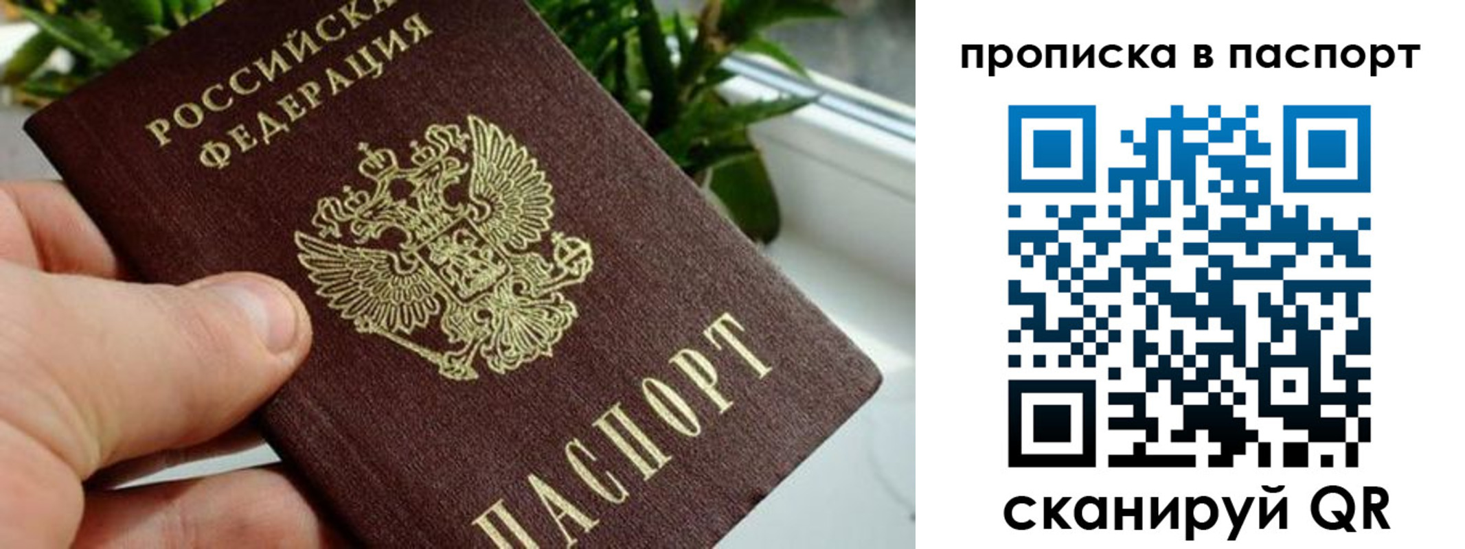 пропишу в квартире в Геленджике